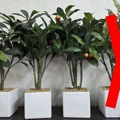 どれでも1つ¥500 人口観葉植物 フェイクグリーン 造花 光触...