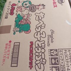 段ボール！のみたべっこどうぶつ柄段ボール！