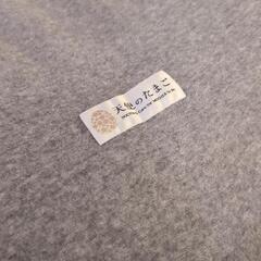 天使のたまご　マタニティ　妊婦　うつ伏せ寝　クッションの画像