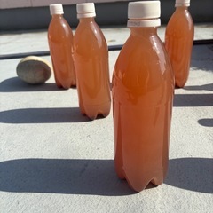 (受け渡し者決定)PSB 500ml ⑦