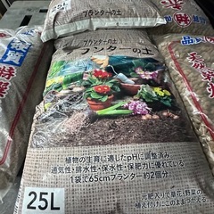 花壇などにの画像