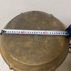 フジトーン コンゴ 28cm 20cm（20cm皮破れ）の画像
