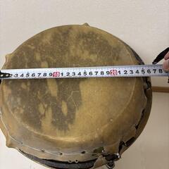 フジトーン コンゴ 28cm 20cm（20cm皮破れ）の画像