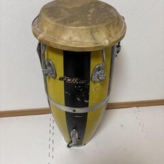フジトーン コンゴ 28cm 20cm（20cm皮破れ）の画像