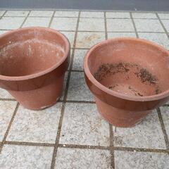 植木鉢  テラコッタ５号鉢 ２個セット