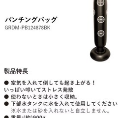 パンチングバッグ  エアーの画像