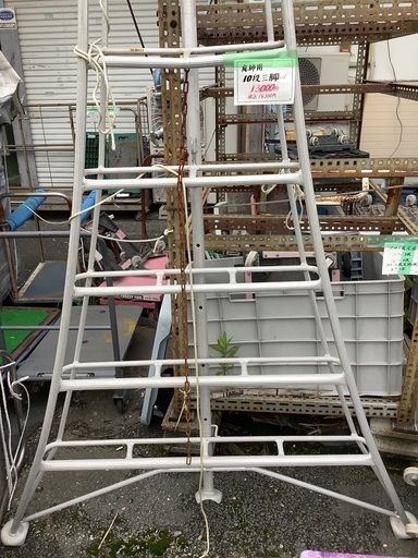 庭師用 10段 三脚 ハシゴ 管6250613HK (ベストバイ 静岡県袋井市)