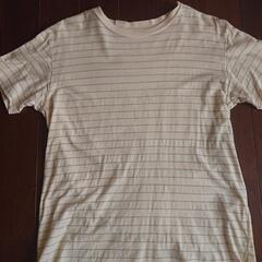 エヌハリウッドボーダーTシャツ