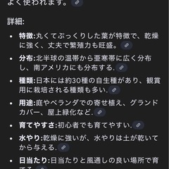 最終値下げ✨️セダム[1L牛乳パック1箱分]の画像
