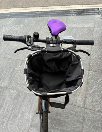 X20 折りたたみ電動アシスト自転車 Pykes Peak (ボンド) 茨木の