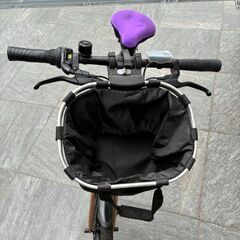人気！X20 折りたたみ電動アシスト自転車 Pykes Peak (ボンド