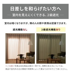 ディズニー　遮光・遮熱カーテン「ドナルド＆ファミリー」　100x185cm 2枚入りの画像