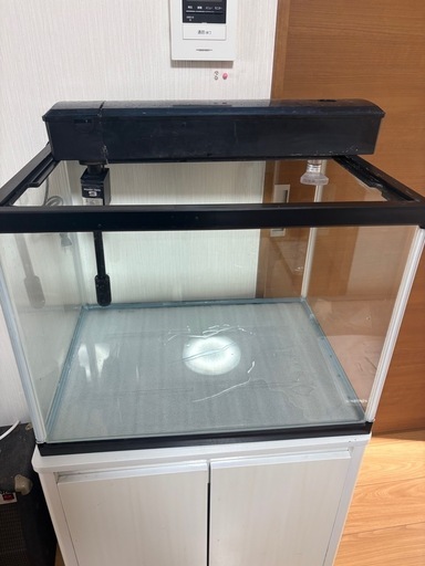 60×45×45水槽　60ワイド水槽　熱帯魚　ディスカス　エンゼルフィッシュ