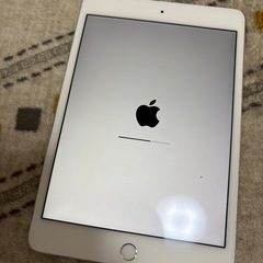 iPad mini4