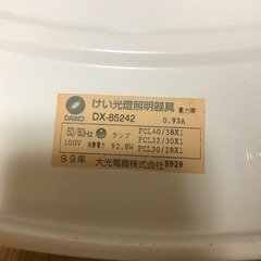 でっかい蛍光灯