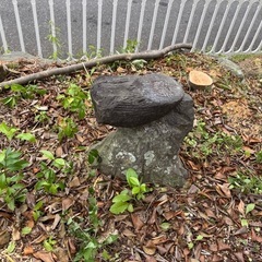 色んな庭石。好きなもの差し上げます！の画像
