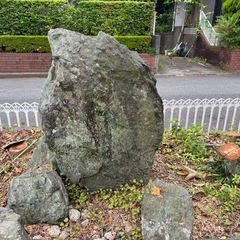 色んな庭石。好きなもの差し上げます！の画像