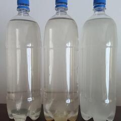 ㊹🌈ゾウリムシ1.5L(自家培養)