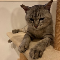 お外で頑張ってました