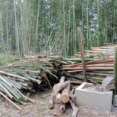 切ってあるものでも構いませんの画像