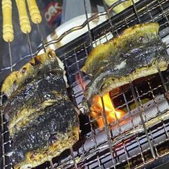 ㉟うなぎ釣りなら鰻遊会✨　　　　　　ライングルチャメンバー募集中❗ − 群馬県