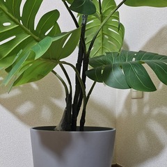 IKEA FEJKA モンステラ造花・鉢セット