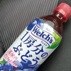 ウェルチペットボトル4本
