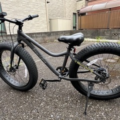 ファットバイクEIZERCAMP MOONSHOT26