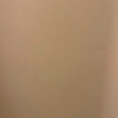 浴室の外壁を掃除してたらペンキが剥がれた。