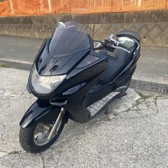 マジェスティ250【272】
