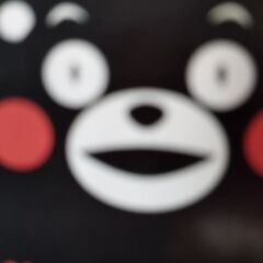 福祉専門フリーランスとして