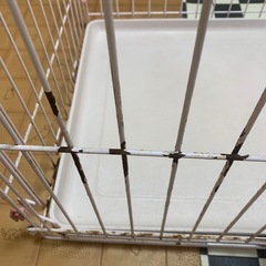 犬用　ケージの画像
