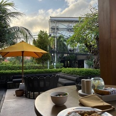 お茶&お友達探し