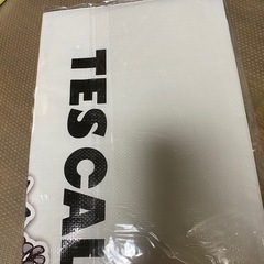 TES エンドレスサマー　フレンチブルドック　ノベルティ　レジャーシートの画像