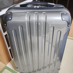 Suitcase Carrying Bag, gunmetal