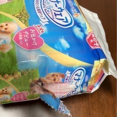 値下げ！犬用　オムツ　極小サイズ　　の画像