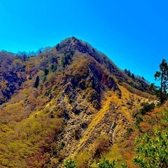 登山仲間募集！