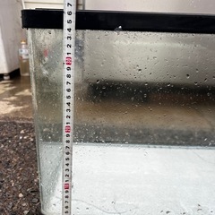 すいそうの画像