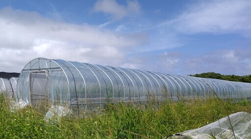 ビニールハウス　2.5m×24m　扉付き