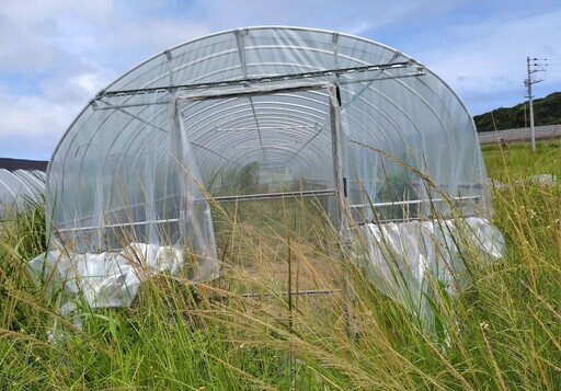 ビニールハウス　2.5m×24m　扉付き