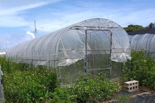 ビニールハウス　2.5m×12m　扉付き