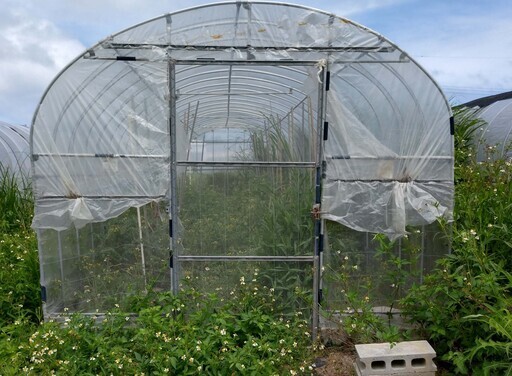 ビニールハウス　2.5m×12m　扉付き