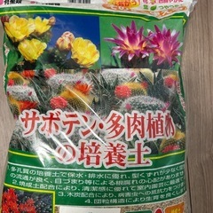 サボテン用土