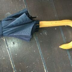 モダンな蛇の目傘　丈夫で軽い24本骨の画像