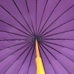 モダンな蛇の目傘　丈夫で軽い24本骨の画像