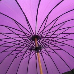モダンな蛇の目傘　丈夫で軽い24本骨の画像