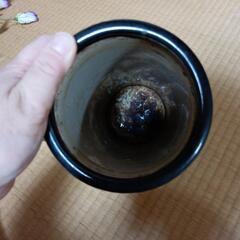 花生けビンの画像