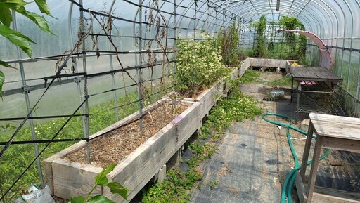 ビニールハウス　2.5m×12m　扉付き　ベッド栽培付き