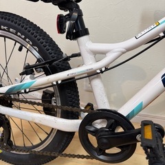 GT STOMPER ACE 20 V2 2021  子供自転車 - 7段変速(6月まで) の画像
