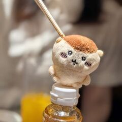 お友達になりませんか？☺️